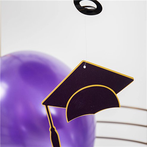 3 Pack Graduation Swirl Decorations