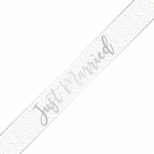 Silver Confetti Just Married Banners - 2.7m