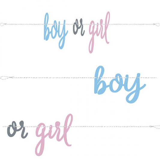 Boy Or Girl Gender Reveal Banner