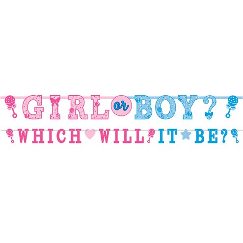 Girl Or Boy Gender Reveal Letter Banner