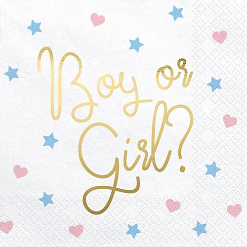 Boy Or Girl Gender Reveal Foil Stamped Paper Napkins - 20 Pack
